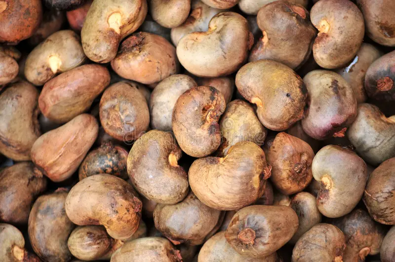 raw-cashew-nuts